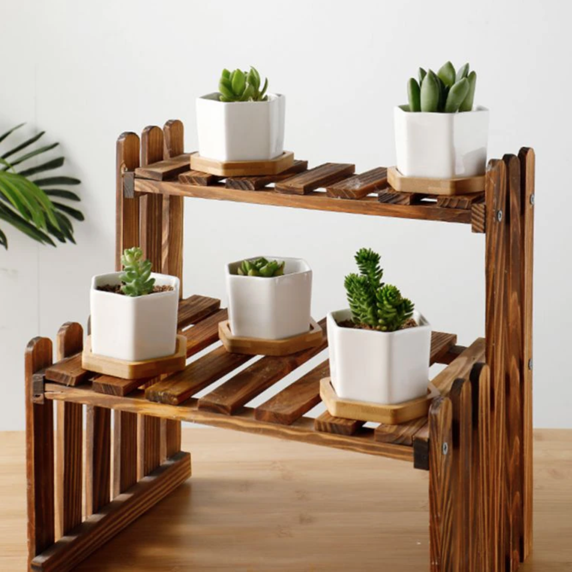 Succulent Planter -Small (Set of 3)