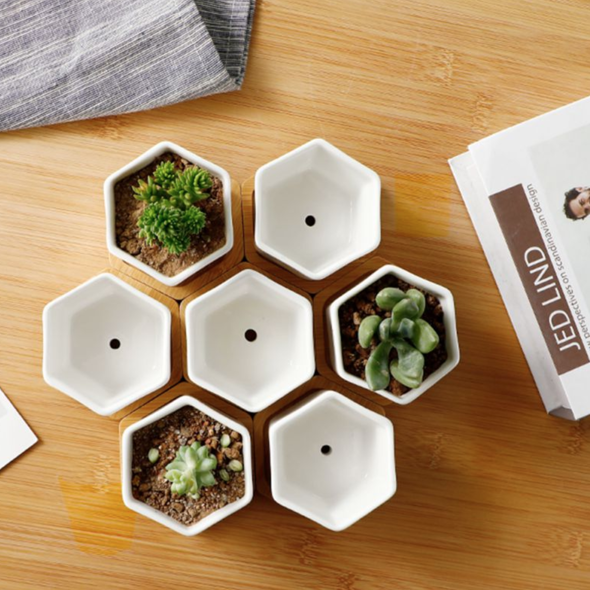Succulent Planter -Small (Set of 3)