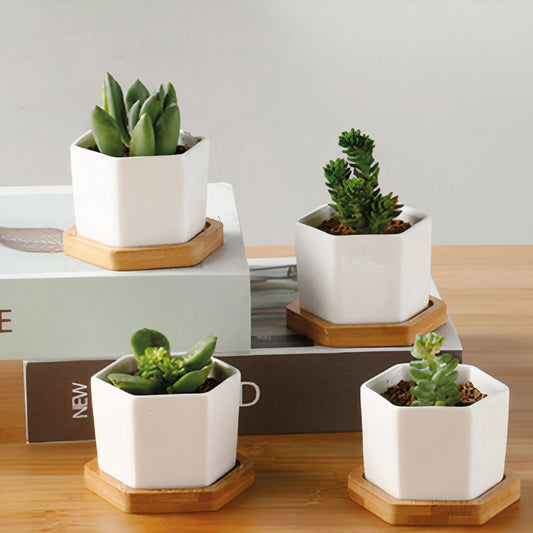 Succulent Planter -Small (Set of 3)