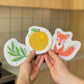Set of 3 Bestselling Pop-up Sponges & Stain Remover
